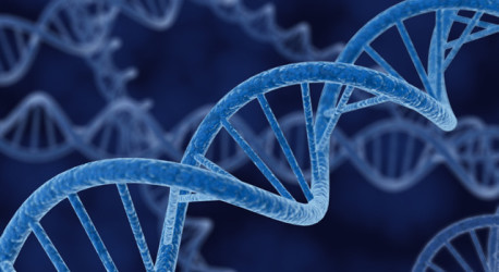 Xenofonia genética