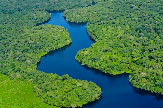 Récord de calentamiento y sequía en la selva del Amazonas