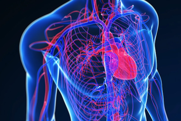 Consejos para prevenir un ataque al corazón