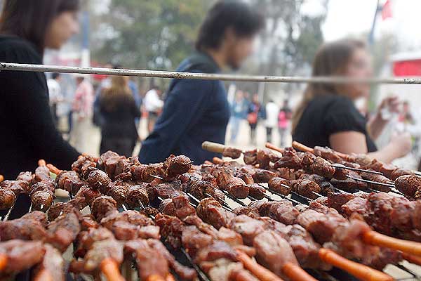 Seremi de Salud: Mucha de la carne que decomisamos en Fiestas Patrias es de perro