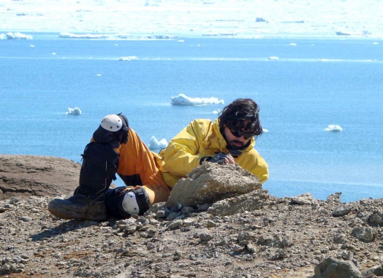 Descubren restos de los mamíferos más antiguos de la Antártida