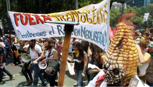 La lucha popular en Guatemala hace retroceder ley Monsanto