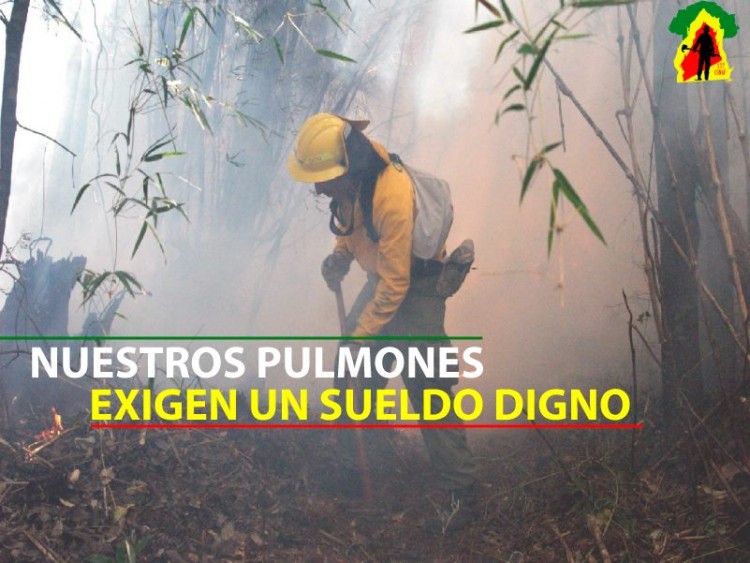 La precariedad laboral de los trabajadores transitorios de la Conaf; ¿Cuánto vale la salud de los bosques en Chile?