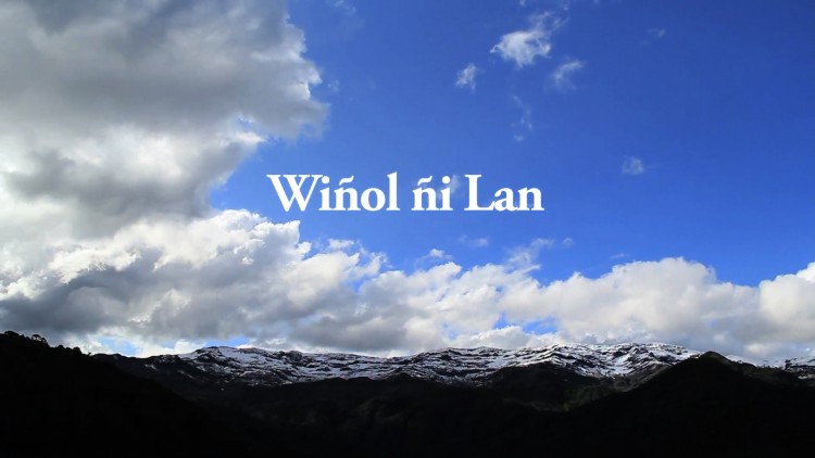 Estrenan documental Wiñol ñi lan: La muerte del ciclo