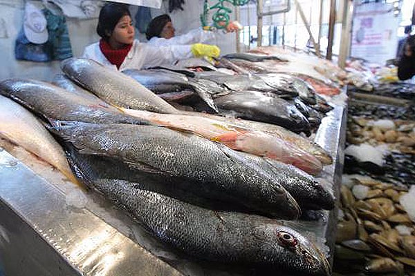 Norma chilena permite 50% más mercurio en pescados que el nivel considerado perjudicial para la salud