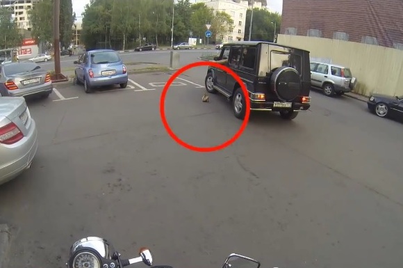 Motociclista rusa persigue a gente sucia para darle su merecido