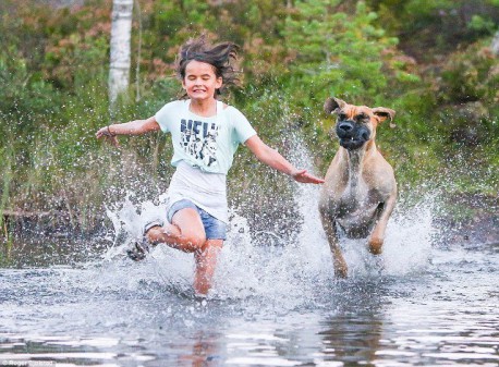 Por qué tu perro se alegra tanto de tu vuelta a casa: La vida emocional de un perro