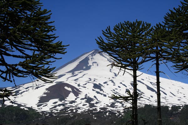 Senadores coinciden en profundizar debate de Proyecto de Ley de Biodiversidad y áreas protegidas