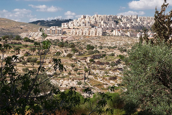 El impacto de la ocupación israelí sobre la biodiversidad palestina