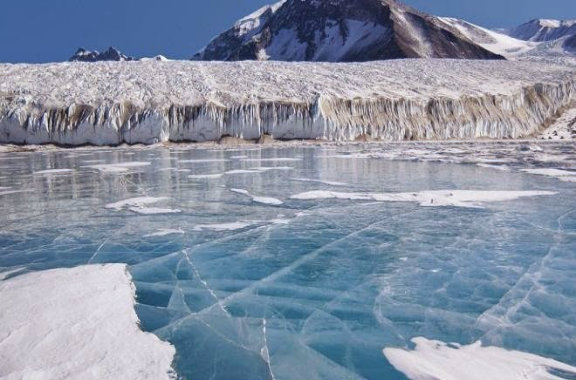 Descubren un ecosistema bajo el hielo de la Antártida