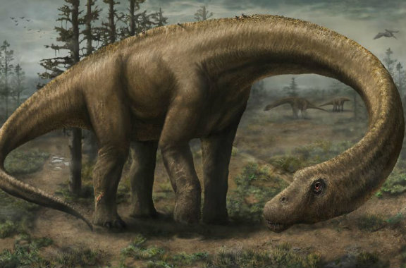 Hallan en la Patagonia restos del dinosaurio más grande del mundo