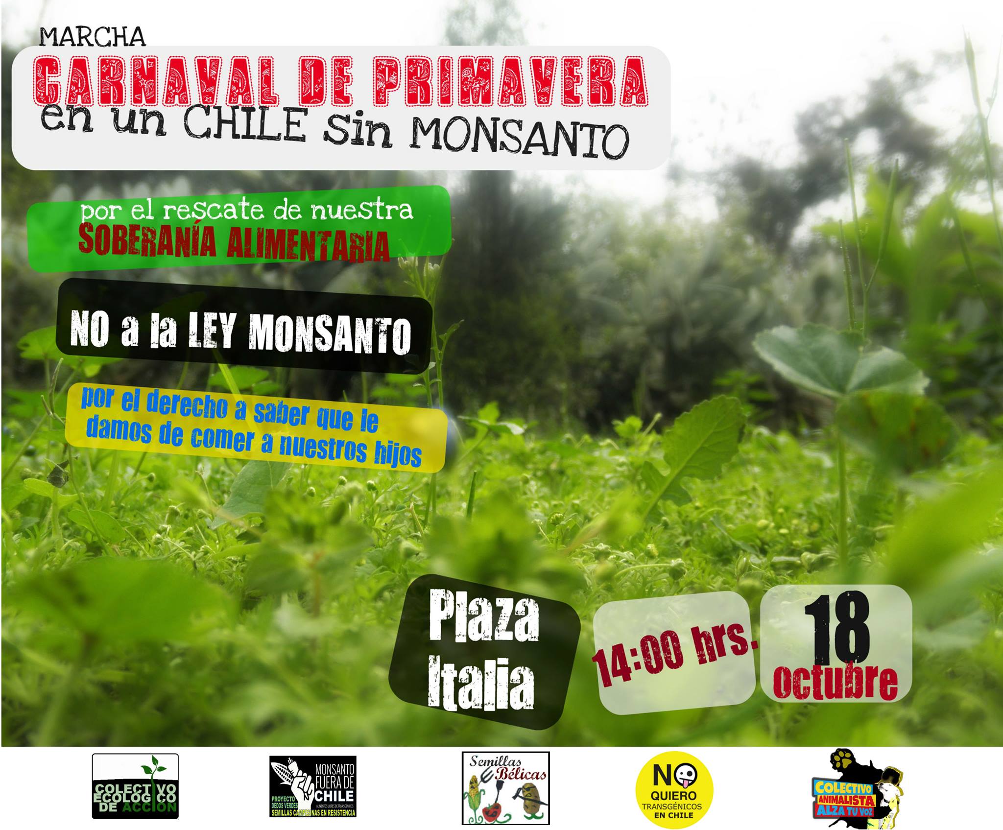 18 octubre: «Carnaval de Primavera en un Chile sin Monsanto»