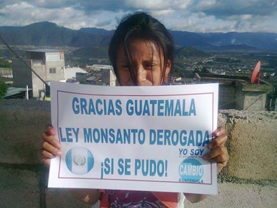 Guatemala defiende a sus campesinos contra Monsanto