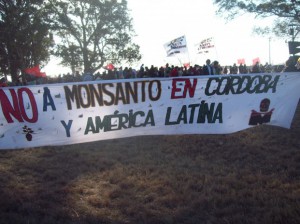 Contraofensiva de Monsanto en Argentina