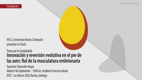 Las patas de las aves poseen evidencias de su evolución