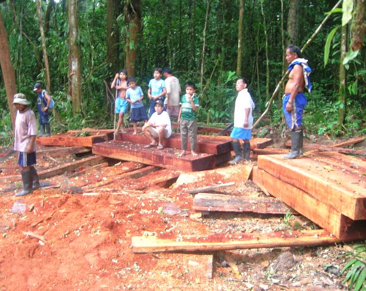 Cuatro dirigentes asháninkas son asesinados por madereros ilegales