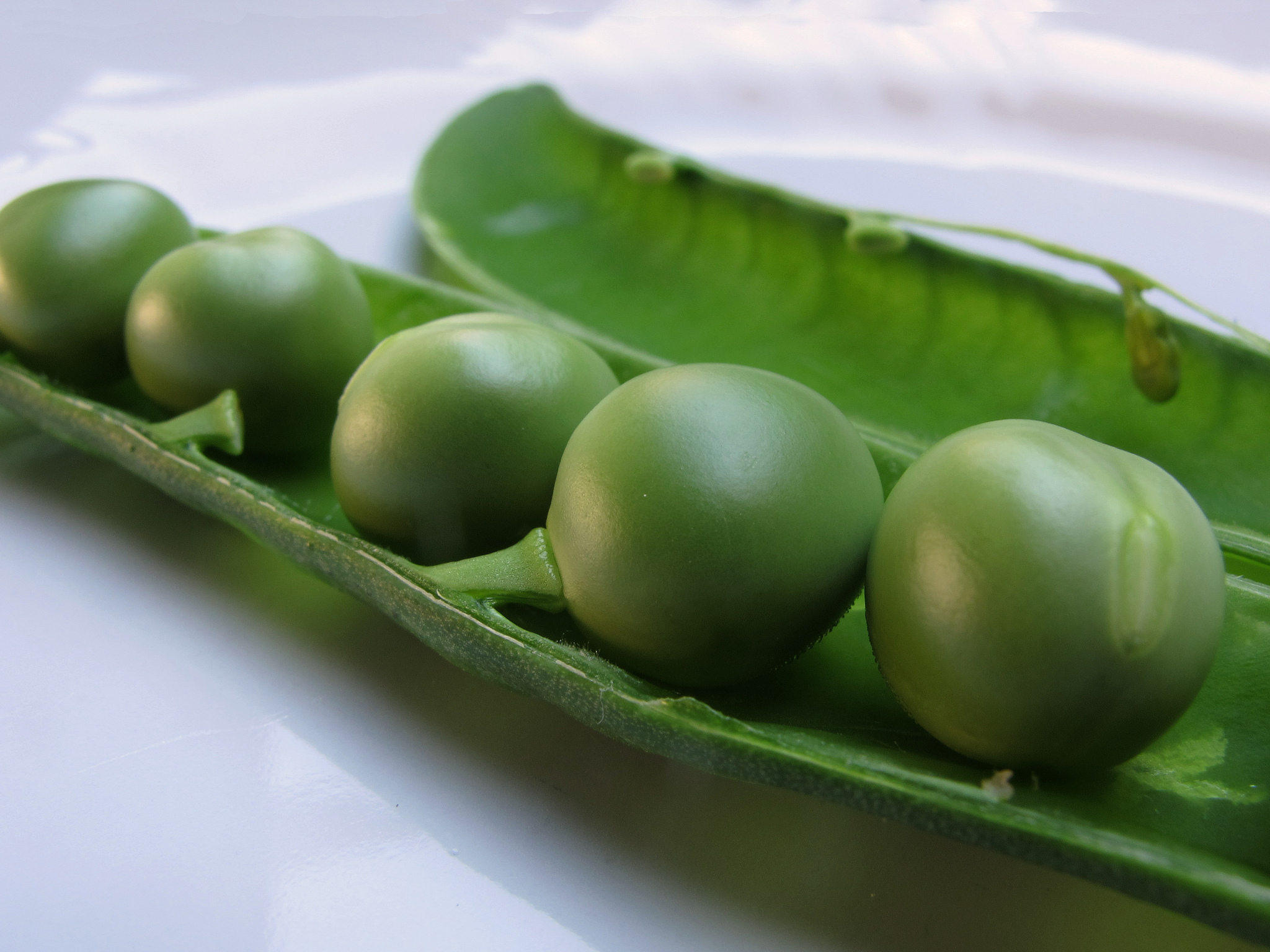 ¿Qué alimentos son ricos en la proteína si eres vegetariano o vegano?