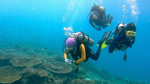 Crean un material que permite respirar bajo el agua