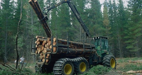 Angelini expande planta Horcones con venia de la Corte Suprema