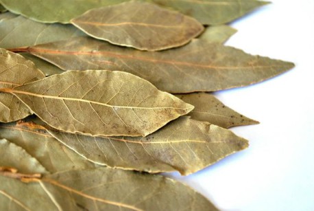 Beneficios del laurel para la salud