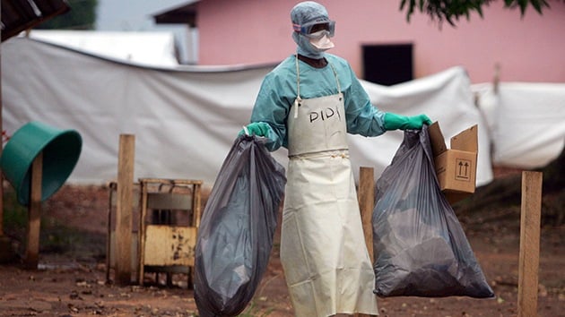 Marburgo, ¿el virus ‘gemelo’ del ébola?