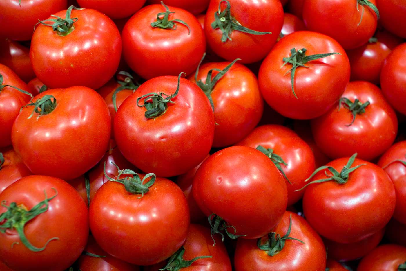Propiedades curativas del tomate
