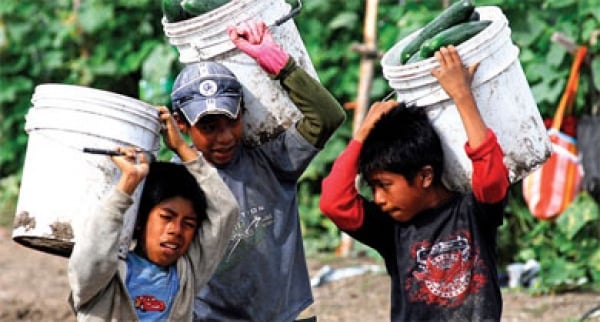 En Chile, el trabajo infantil, no es historia del pasado.