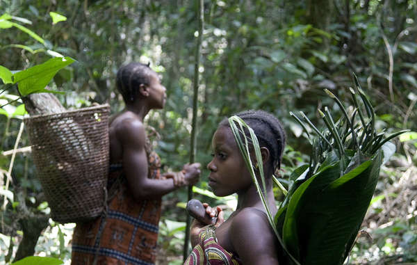 WWF cómplice de atropellos contra pueblos indígenas en Camerún