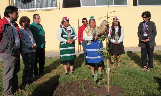 Servicio de Salud de O’Higgins incorpora medicina tradicional mapuche a usuarios de CESFAM