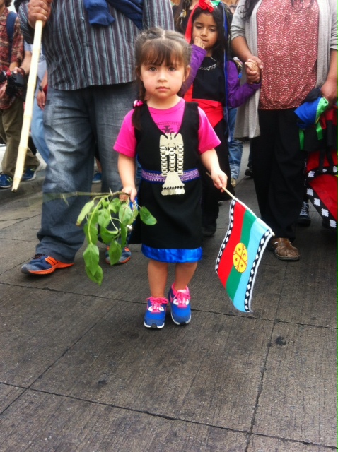 El Ciudadano en la Marcha de la Resistencia Mapuche (minuto a minuto)