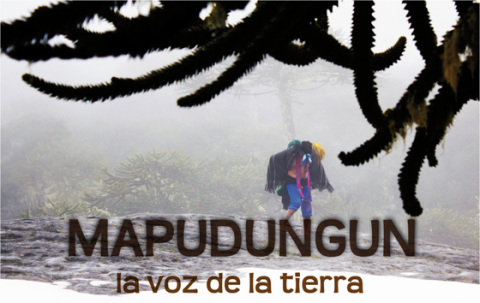 Declaran oficialmente el mapudungún como segunda lengua en Padre Las Casas