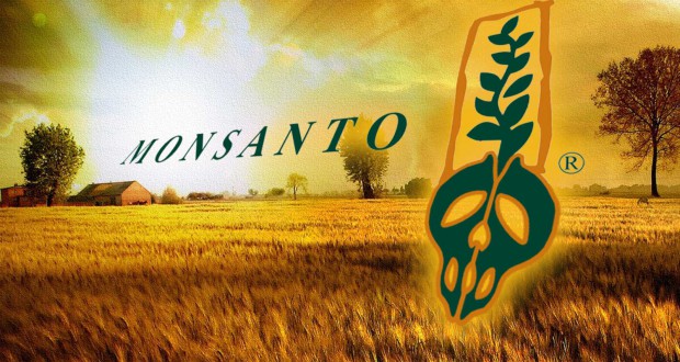 Monsanto deberá pagar multa de US$600 mil por emisiones tóxicas