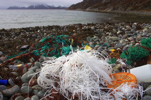 Los océanos piden ayuda a gritos por la basura plástica