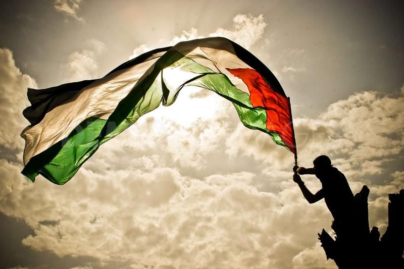 Palestinos pedirán acceso a 522 agencias si EEUU veta resolución en la ONU