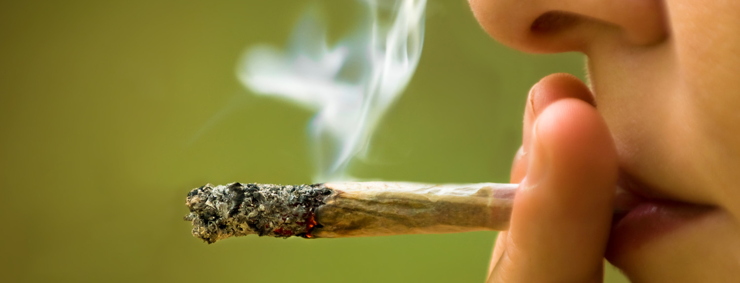 La despenalización de la marihuana ha reducido la delincuencia adolescente, la deserción escolar, los suicidios y las sobredosis
