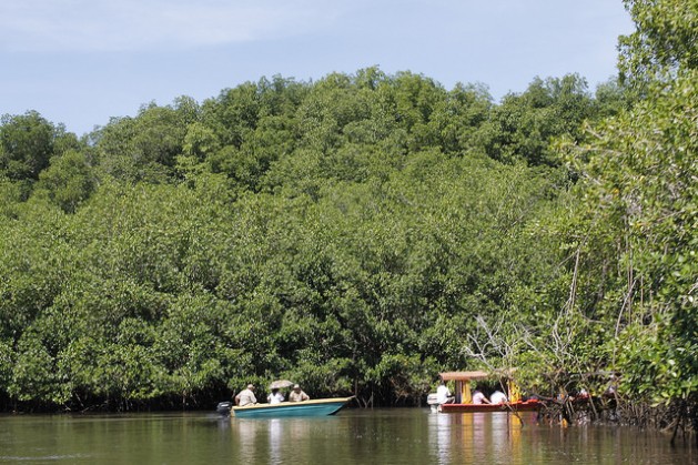 El Salvador restaura su biodiversidad ante embates climáticos