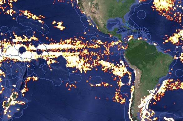 Google maps muestra la intensidad de la pesca en el mundo