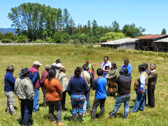 Comunidad mapuche Cacique Llancao solicita fundo explotado por Forestal Mininco