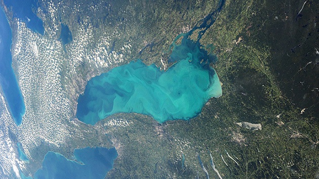 Los lagos de Canadá se están volviendo ‘gelatina’