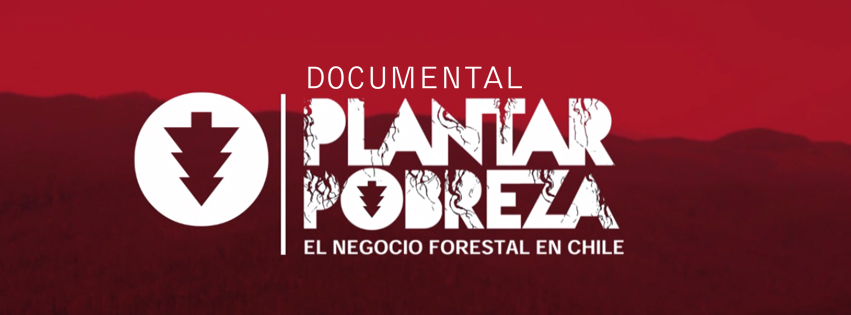 “La industria forestal sólo provoca pobreza y peor vida en Chile”