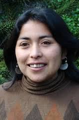 La mirada crítica de una especialista mapuche
