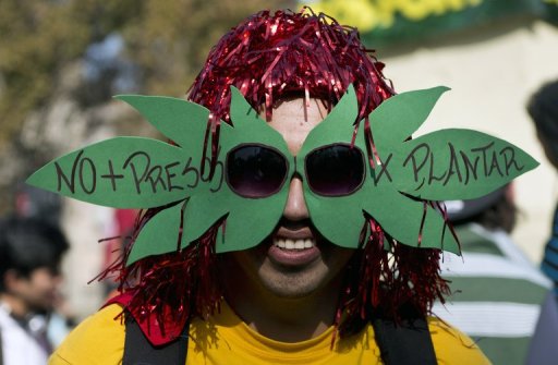 63% declaró estar de acuerdo con la despenalización del consumo de marihuana.