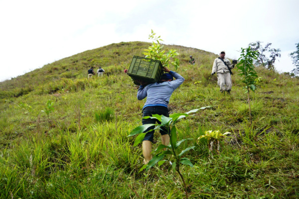 Gobierno Bolivariano reforestó 2.5 hectáreas del Parque Nacional El Guácharo