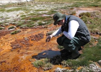 Chilena premiada tras estudio de planta nativa que absorbe contaminantes en el río Lluta