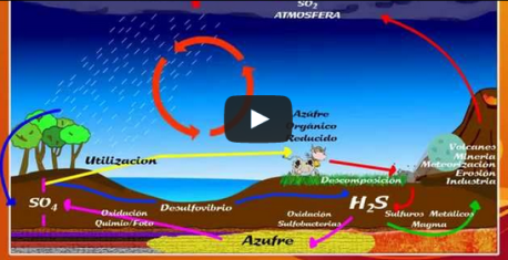 Los ciclos biogeoquímicos en vídeo Los ciclos biogeoquímicos en vídeo