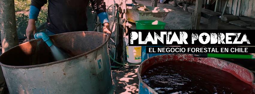 Documental: «Plantar pobreza, el negocio forestal en Chile»