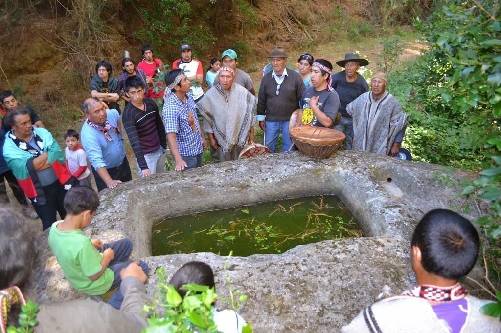 Comunidad mapuche Chilkoko denuncia destrucción de patrimonio cultural por Forestal Arauco