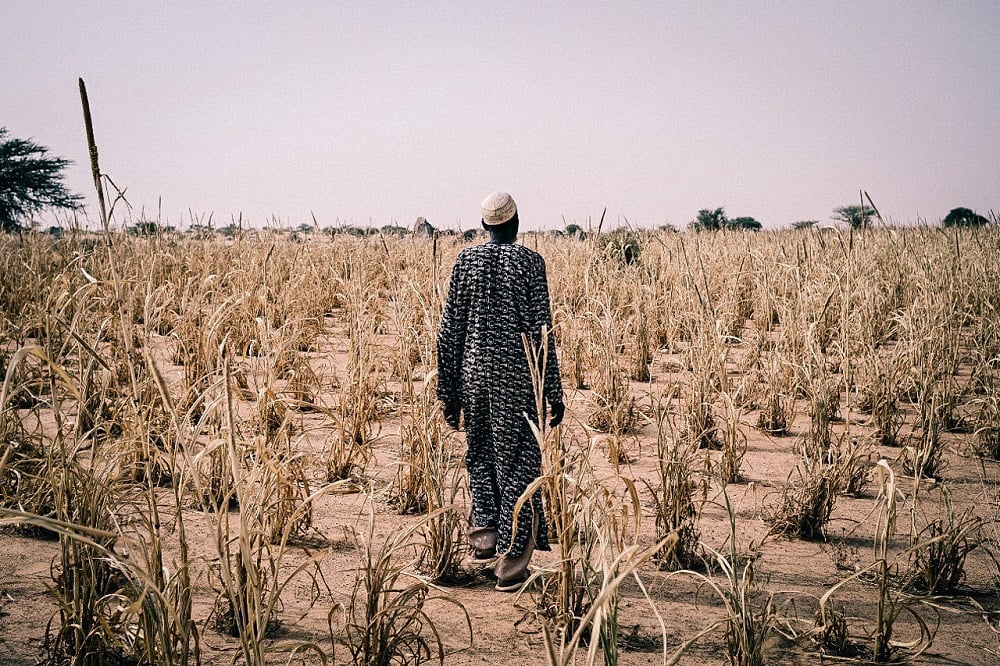 Epidemias, conflictos armados y condiciones climáticas: responsables de la inseguridad alimentaria en el 2014