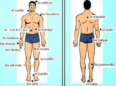 Dime qué te duele y te diré a qué se debe