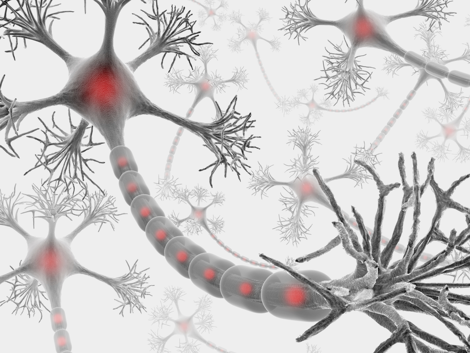 Nuevo avance en la búsqueda de un tratamiento para la esclerosis múltiple